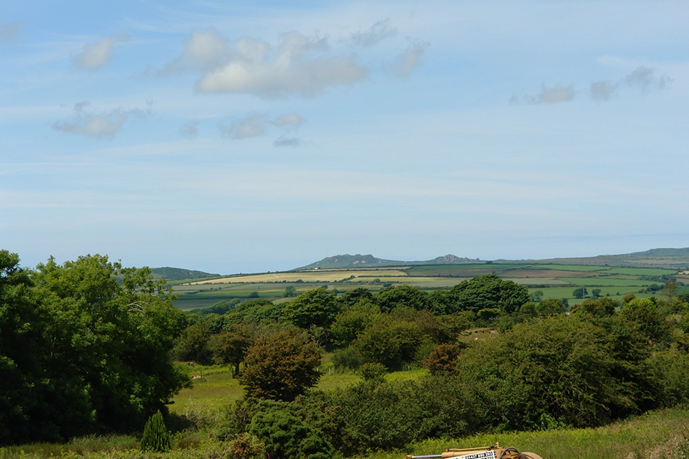DSC00908 DSC00908